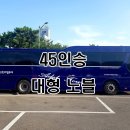 아델여행사