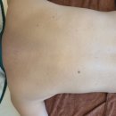 프레셔스카라스킨앤바디