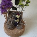 곤충연구소 실내 이미지