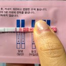 드림산전 이미지