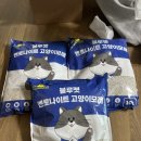 고양이모래 추천, 블루펫 벤토나이트 10L 솔직 후 기｜먼지 많을까? 응고력 직접 확인