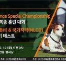 메이저 애견훈련학교 이미지