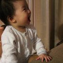 뚱이양이