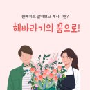 해바라기의꿈 | 해바라기의 꿈에서 원예치료 , 원예교육으로 힐링해봐요