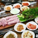 도새기