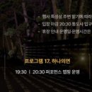 더레드미디어