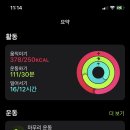세컨드 커피