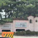 태우전자 | 애견동반 워터파크 원더풀도그베이 안성 | 강아지랑 여름휴가 갈만한곳 | 후기부터 꿀팁까지