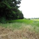 전대1리마을회관 이미지