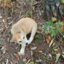 태만농장 이미지