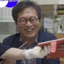 성남시야외공연장 이미지