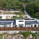 스테이더문 이미지