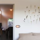 벵디1967 이미지