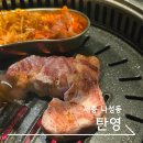 탄영 | 세종 나성동 삼겹살 맛집 탄영 프라이빗 룸 후기
