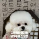 몽개구름 이미지