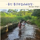 산속닭곰탕 | 용인 통나무집바베큐장 오리백숙 계곡 물놀이 후기