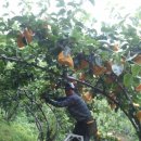 우경농장 이미지