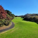 에코랜드CC | 3색 제주골프 부영CC 더클래식CC 에코랜드CC 제주골프패키지 정보 라운딩후기