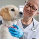 강릉동물병원 이미지