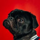 상우공인중개사사무소 이미지