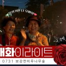 화이라이트
