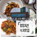 영암독천맛집 갈낙탕 낙지맛집 독천무안뻘낙지