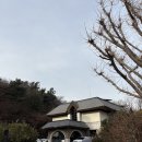 시흥 더숲 소전미술관 전시가 있는 대형 북카페 주말 후기