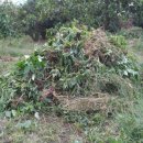 이승농장 이미지