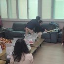 나눔방문요양센터 이미지