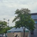 무안꽃낚시 | 제 29회 무안연꽃축제 실시간 방문 솔직후기