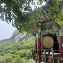 (나혼자산다 키 강원도 절/강릉템플스테이 /강릉절 /속초 절) 금강산화암사 푸르른 5월 힐링스팟