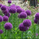 신구대학교 이미지