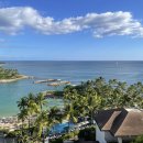 하도포시즌스 | 7박9일 하와이 신혼여행 6일차(2) - 포시즌스 오아후 앳 코올리나 미나스피시하우스