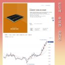 디아이브릿지