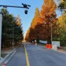 대왕판교로560번길 이미지