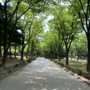 부천중앙공원공영주차장 | 🌳 부천 중앙공원 방문 후기 | 도심 속에서 여유를 즐길 수 있는 힐링 산책 코스