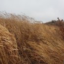 더원 행정사사무소 이미지