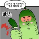 쉘모텔 | 남동생과 함께 떠난 이 남매의 Bangkok 여행기(2025.06.18~06.22)_Day 1