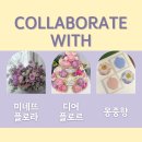 디어 플로라 네이버블로그