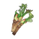 새몸새기운한미르한의원 이미지