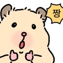 엔젤보트장