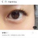 랑떼르 | 춘천 속눈썹펌 후기 / 랑떼펌 후기