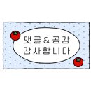 소답동247 이미지