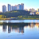 동탄호수공원 이미지