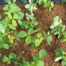 신두리농장 이미지