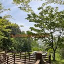 여수봉황산자연휴양림 이미지