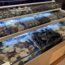 양덕동138 이미지