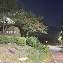 용흥농장 | [제주/서귀포] 제주 감성 펜션, 서귀포 펜션추천 &#34;모나코풀펜션&#34;