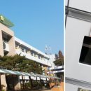 대전샘머리초등학교 이미지