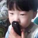 나무앤숲